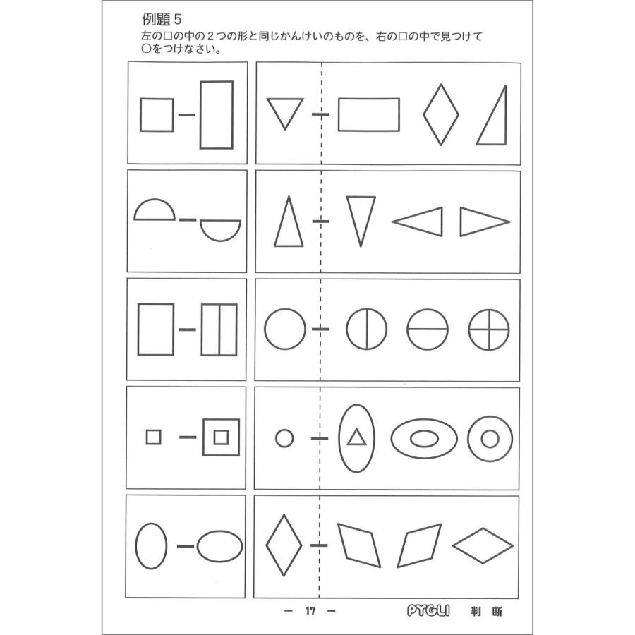 未記入 ピグマリオン 能力育成問題集 40冊セットと領域別問題集上級編9