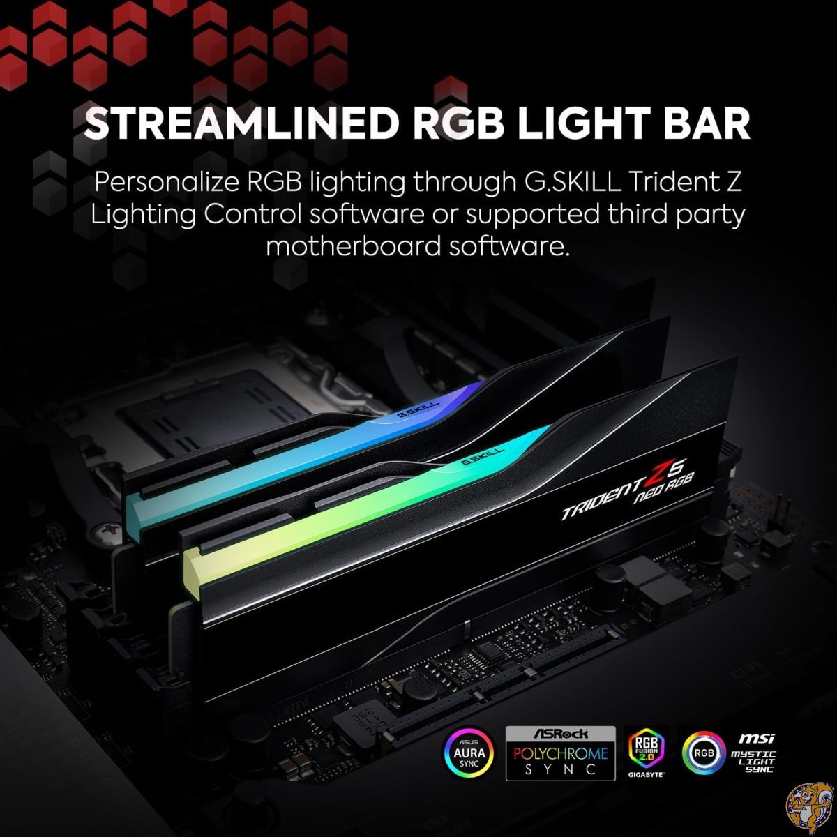 楽天市場】【ポイント2倍ワンダフルデー】G.Skill Trident Z5 NEO RGB