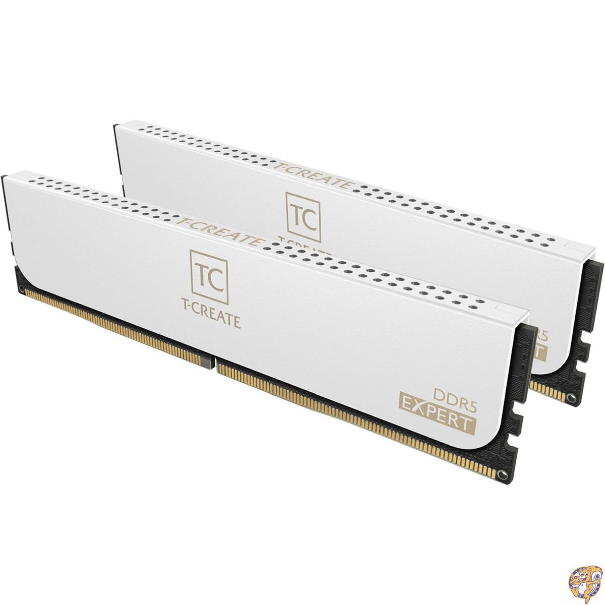 teamgroup ddr5 64gb」の人気商品一覧 | 安い商品を通販サイトから探す