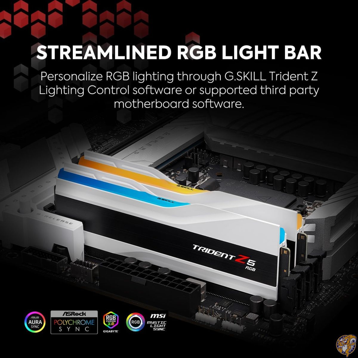 楽天市場】【クーポン配信中】G.Skill Trident Z5 RGBシリーズ (Intel