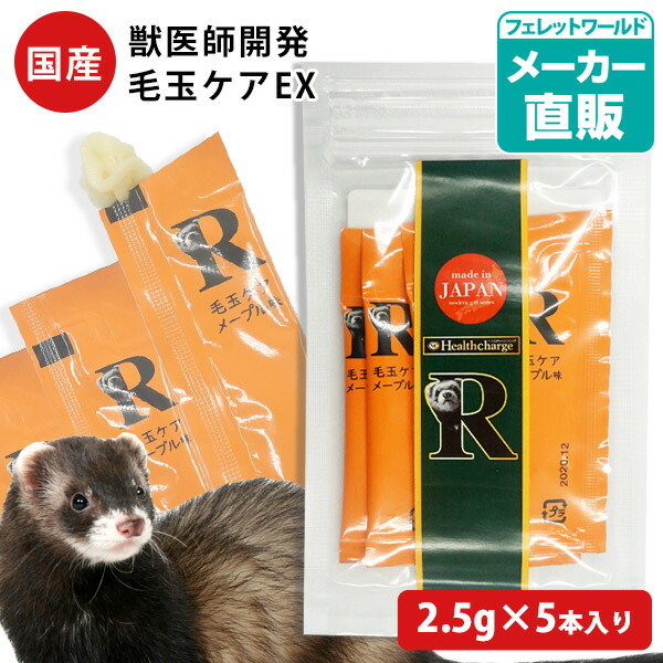 フェレットバイト」の人気商品一覧 | 安い商品を通販サイトから探す