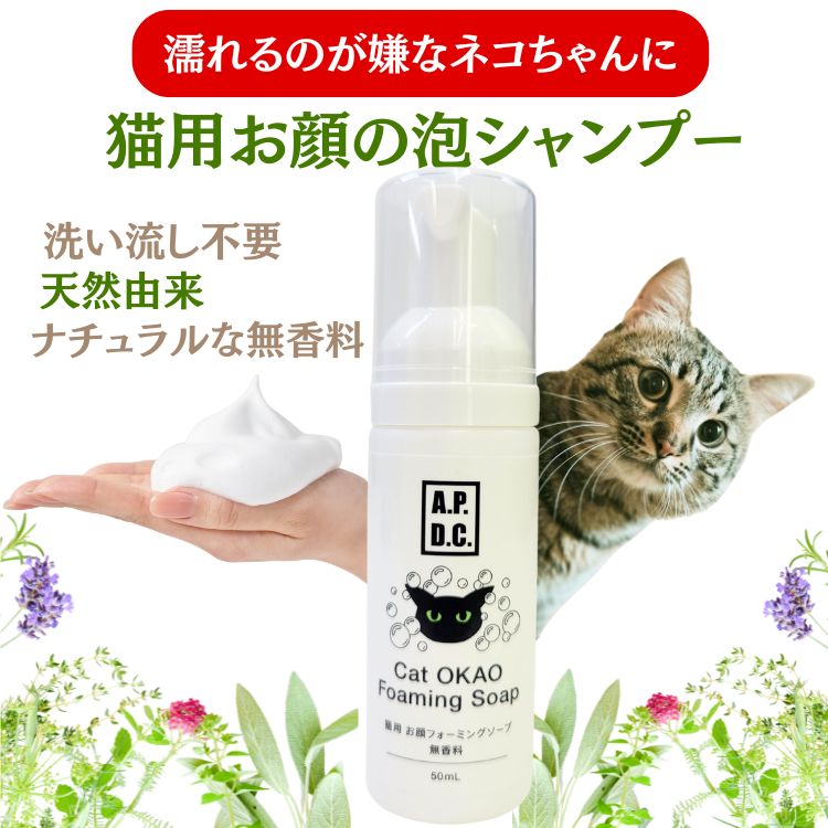 楽天市場】犬と猫のフィジカルアセスメント 本 書籍 ペット 動物看護師