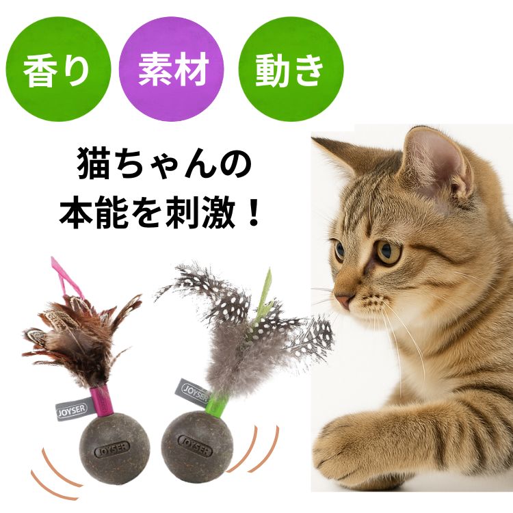 楽天市場】犬と猫のフィジカルアセスメント 本 書籍 ペット 動物看護師