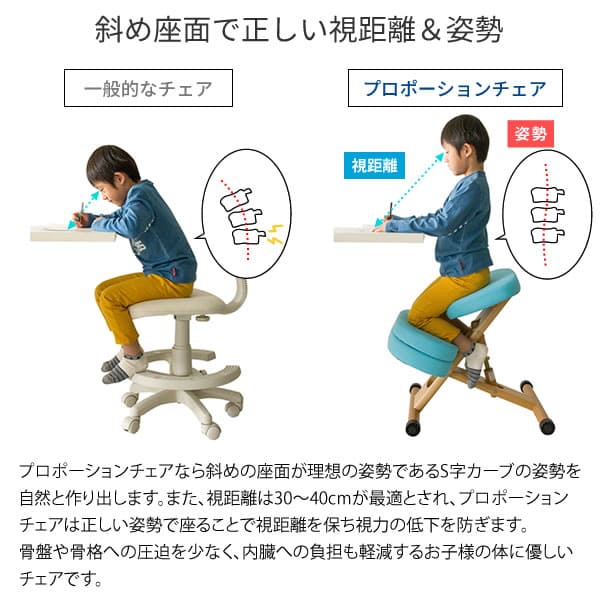 楽天市場】＼クーポン配布中／ 楽天1位獲得 補助クッション付き