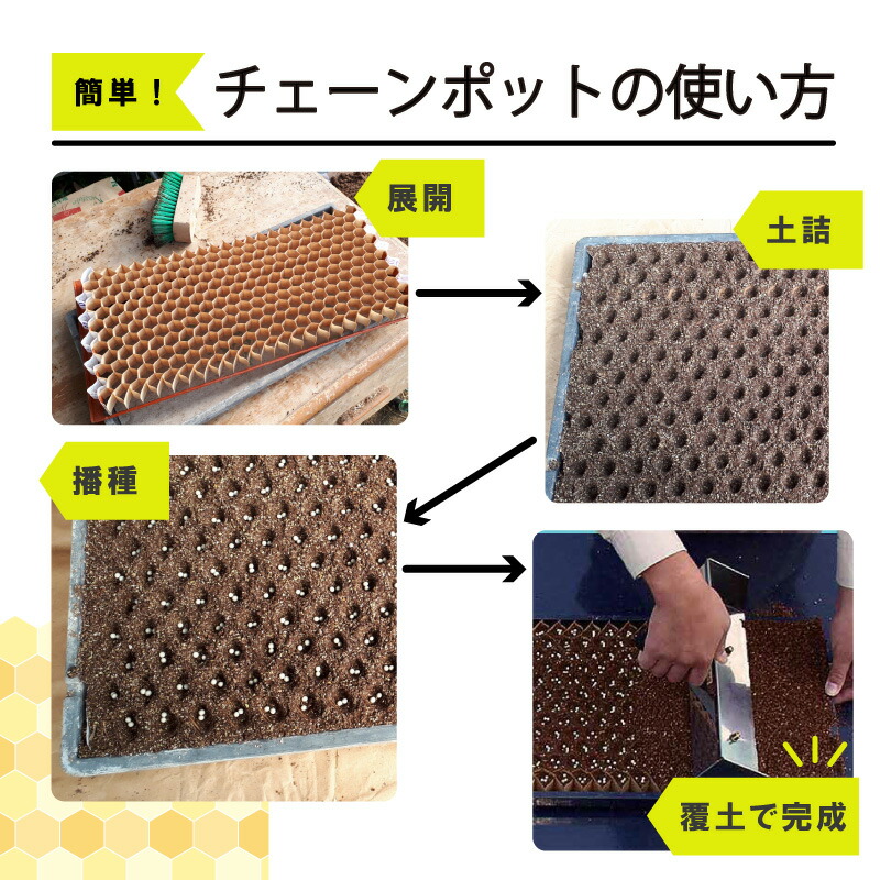 楽天市場】【100%ポイントバック エントリー＆抽選2/25まで】LP