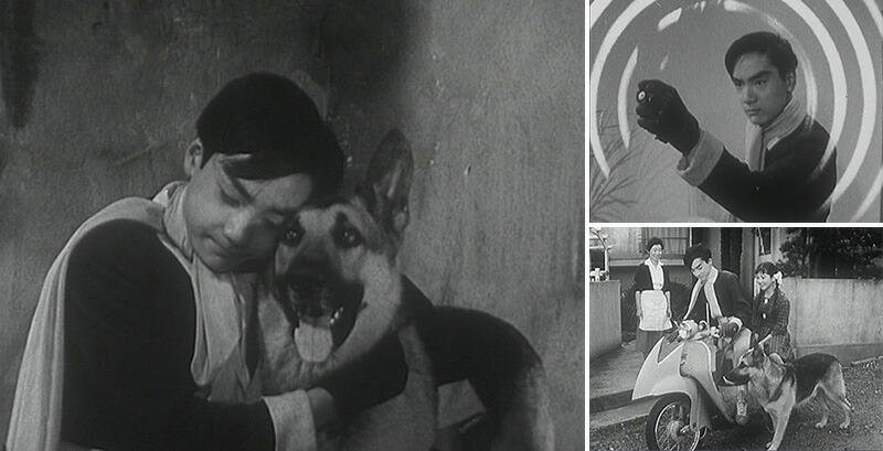 楽天市場】少年ジェット コレクターズDVD Vol.1 デジタルリマスター版