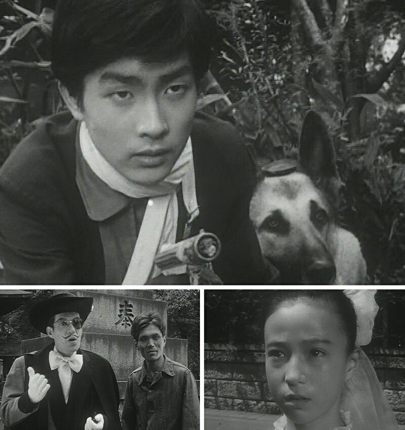 楽天市場】新 少年ジェット コレクターズDVD デジタルリマスター版甦る