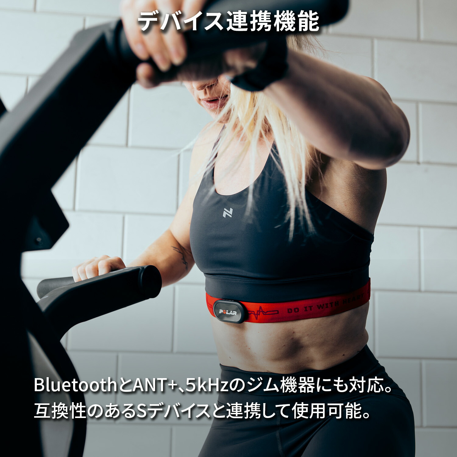 楽天市場】【ポラール公式ストア】Polar H10 N 胸心拍センサー 高精度