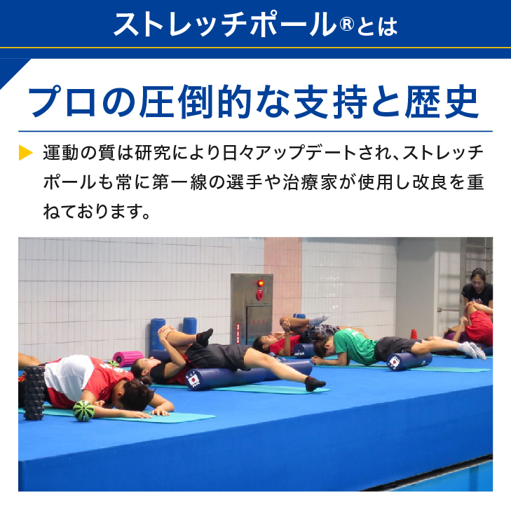楽天市場】LPN ストレッチポールEX(ネイビー) スタートBOOK