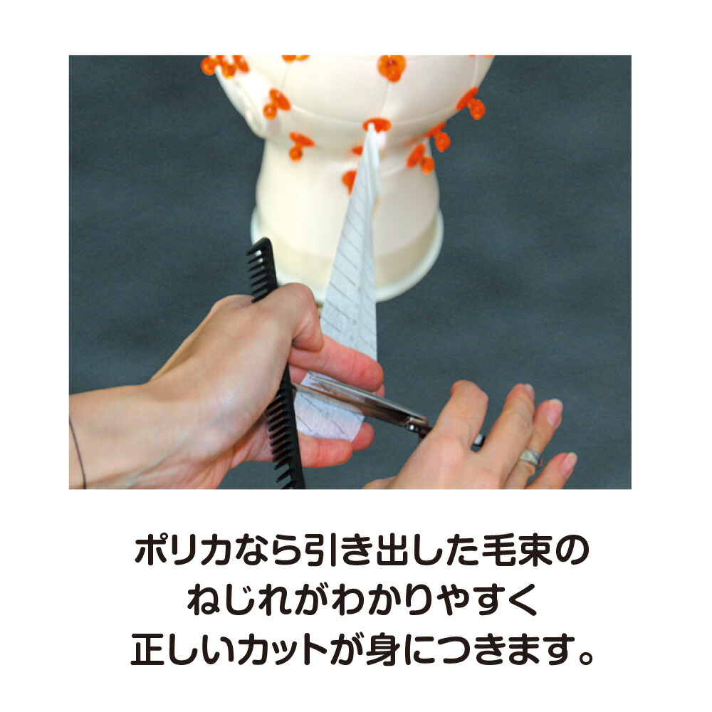 楽天市場】ポリカトレーニングウィッグセット 美容教育 美容師 道具