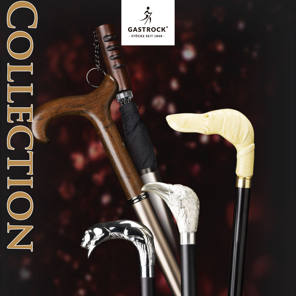 楽天市場】ステッキ 【 20％OFF 】 杖 送料無料 ケイ・ホスピア ガスト