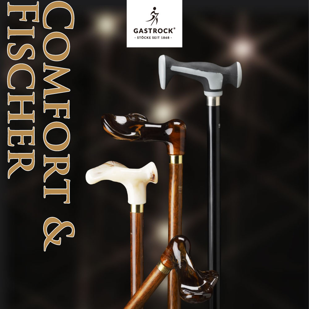 楽天市場】ステッキ 【 20％OFF 】 杖 送料無料 ケイ・ホスピア ガスト