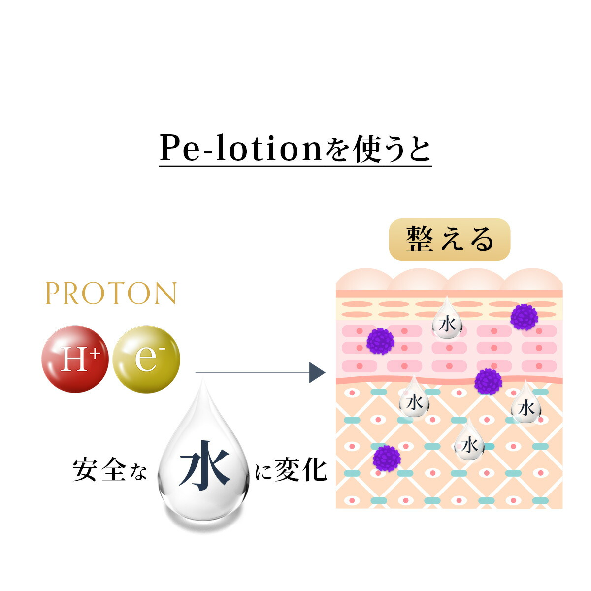 楽天市場】プロトン水 Pe-ローション 150ml 3本セット 化粧水