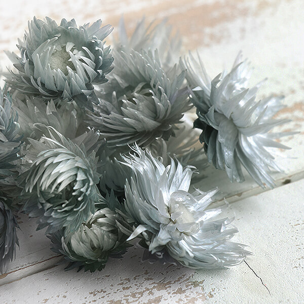 Anton Michelsen デイジー フラワー シルバー ブローチ Anton