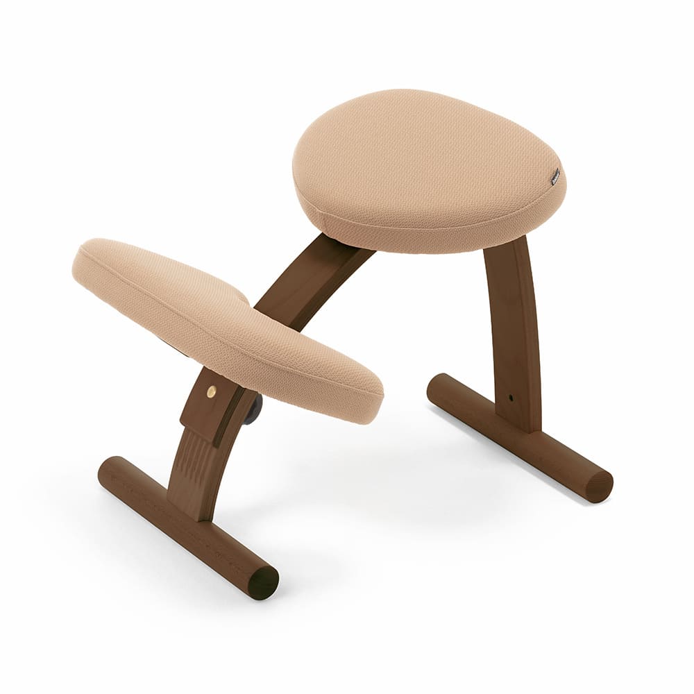 ほぼ新品【Balans Easy】姿勢矯正チェア カバー付き ほぼ新品【Balans