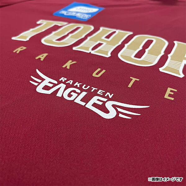 楽天市場】【イヌワシ・ザ・バーゲン】プロモデルチームTシャツ《楽天