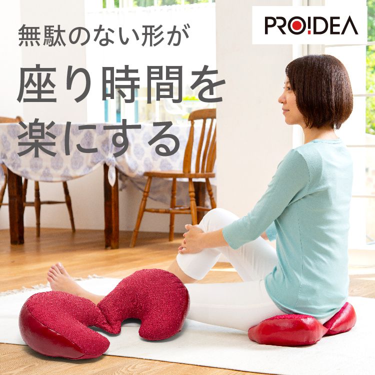 楽天市場】福辻式骨盤クッション ツインフリー 腰痛対策 骨盤