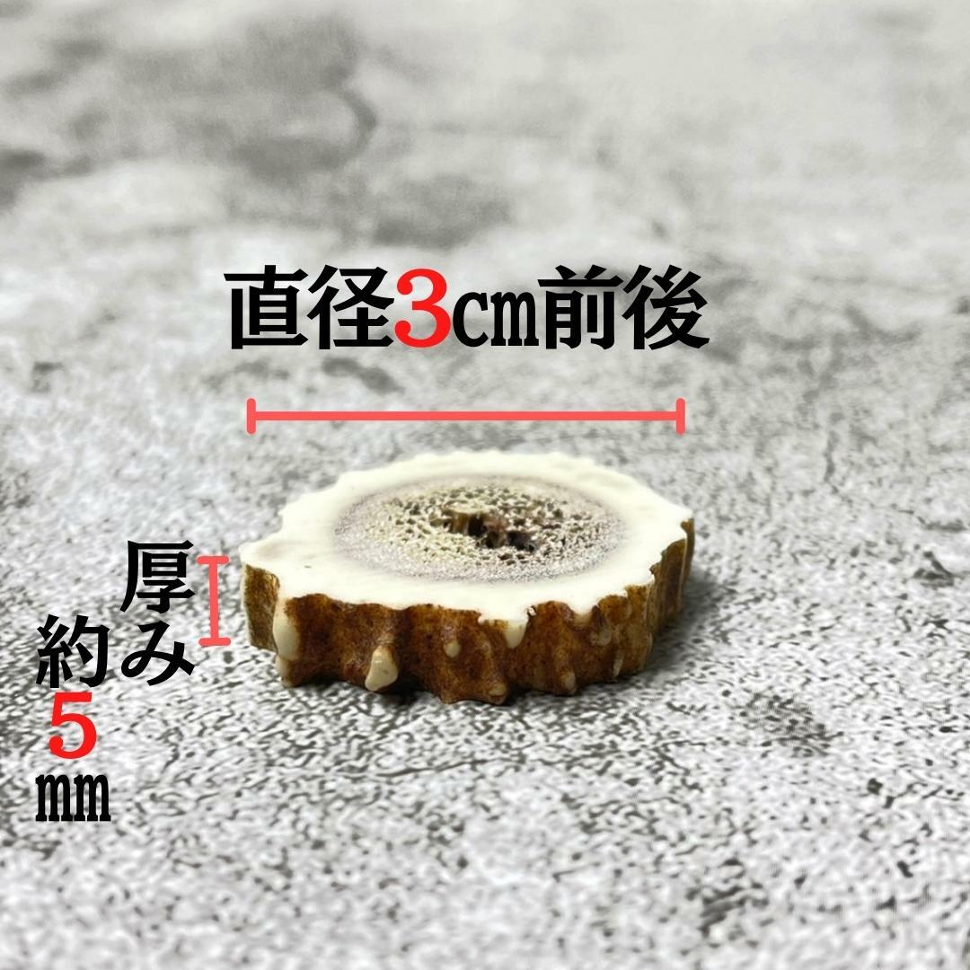 楽天市場】鹿の角 輪切り 10個 3cm×5mm 詰め合わせセット アクセサリー