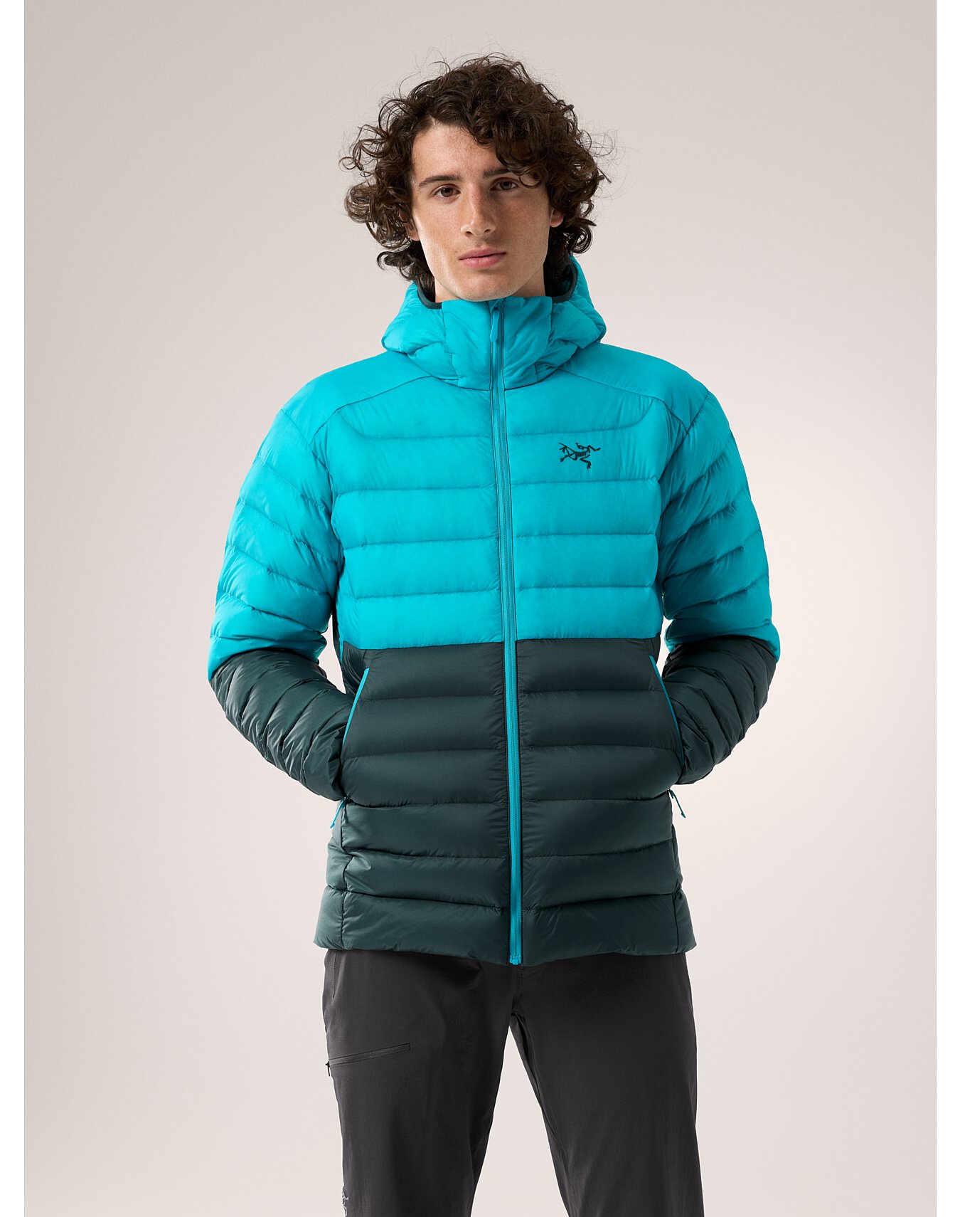 楽天市場】アークテリクス セリウム フーディ CERIUM HOODY ARC'TERYX
