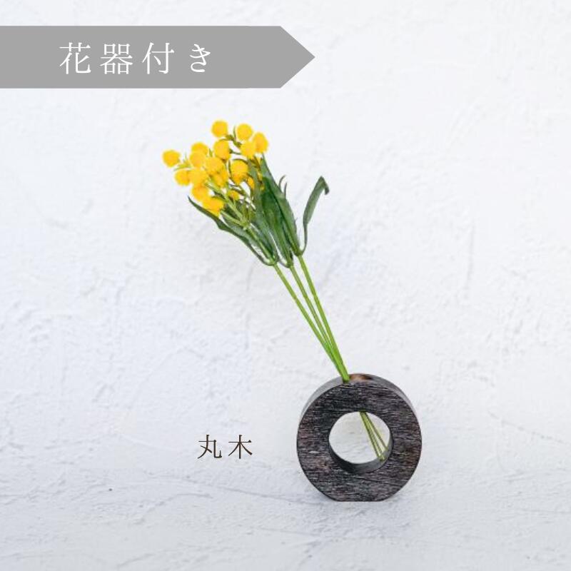 楽天市場】＼今だけクーポン?2/19〜26／3本セット 【ミモザ