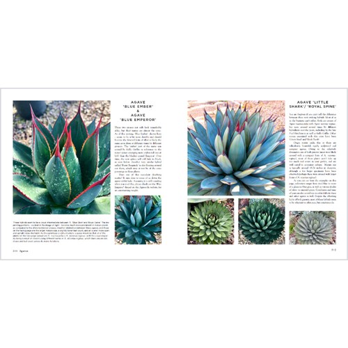 楽天市場】Agave Species Cultivars ＆ Hybrids アガベ 著者 Jeremy