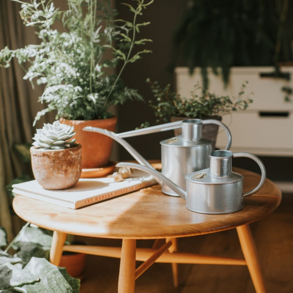 楽天市場】【HAWS ホーズ】Pot Waterer 0.7L 4色 グリーン サルビア