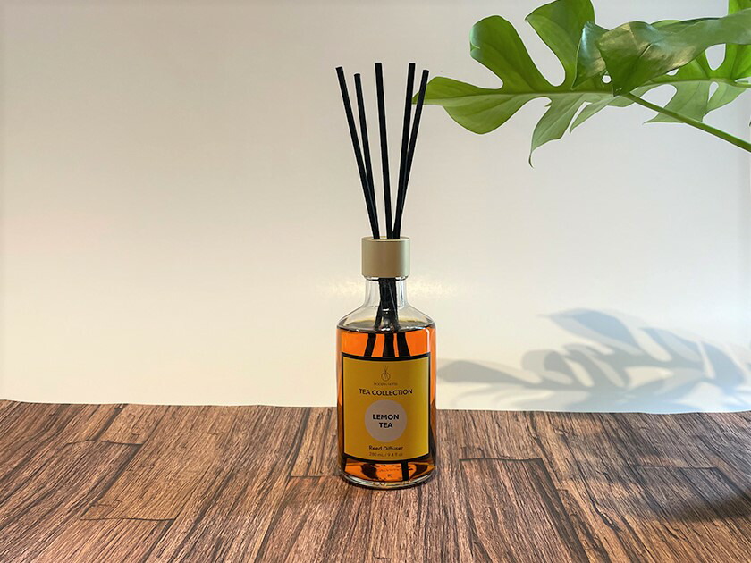 楽天市場】【公式直営店】MODERN NOTES ティーコレクション リード