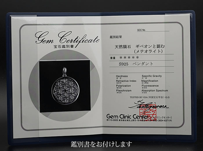 楽天市場】【鑑別書付き】ギベオン隕石 メテオライト フラワーオブ