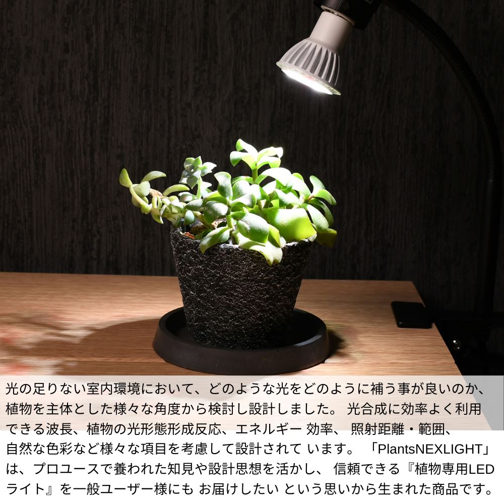 楽天市場】【植物の事だけを考えたライト】 植物専用 LEDライト PLANTS