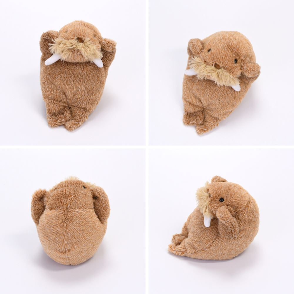 楽天市場】セイウチさんの一日 Sサイズ ぬいぐるみ | 手乗り 手のひら