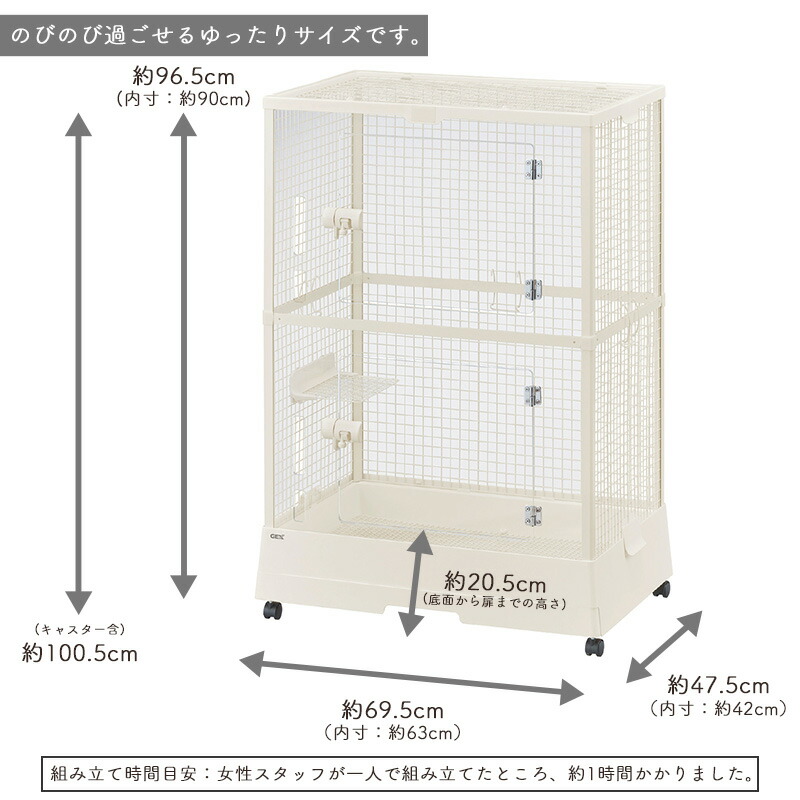 楽天市場】GEX クリアフロント70 Highチンチラ デグー フクロモモンガ