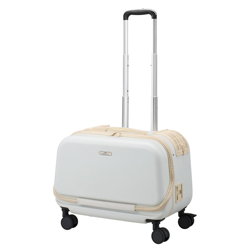 楽天市場】GEX OSOTO コロフィー M ミルク / モカ / アクア10kg以下 犬