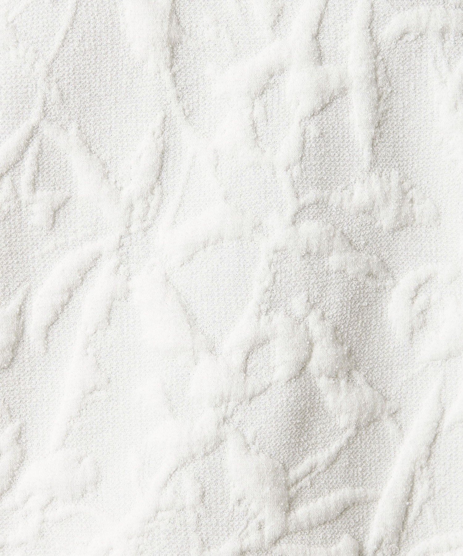 BEAUTY&YOUTH UNITED ARROWS｜ボタニカルジャガード プルオーバー