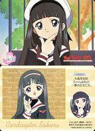 楽天市場】カードキャプターさくら 大道寺知世の通販