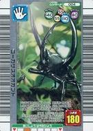 楽天市場】コーカサスオオカブト ムシキングの通販