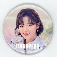 楽天市場】twice ジョンヨン 缶バッチの通販