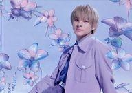 楽天市場】平野紫耀 ファイルの通販