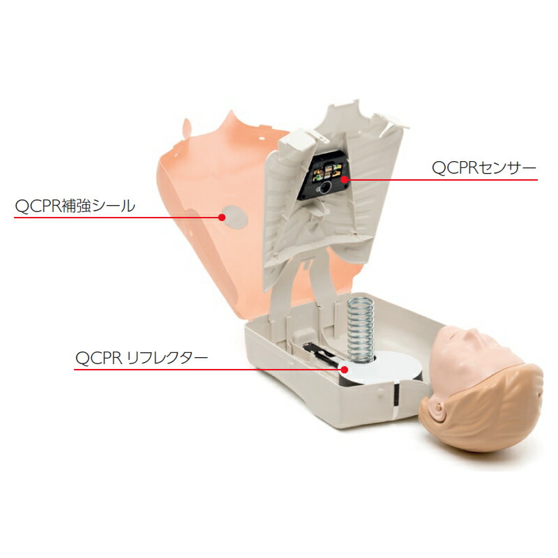 楽天市場】レールダル リトルアン QCPR 【成人】 トレーニング