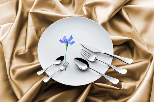 楽天市場】SAKS Super700 ゼウス ペアセット（10pcs） カトラリー