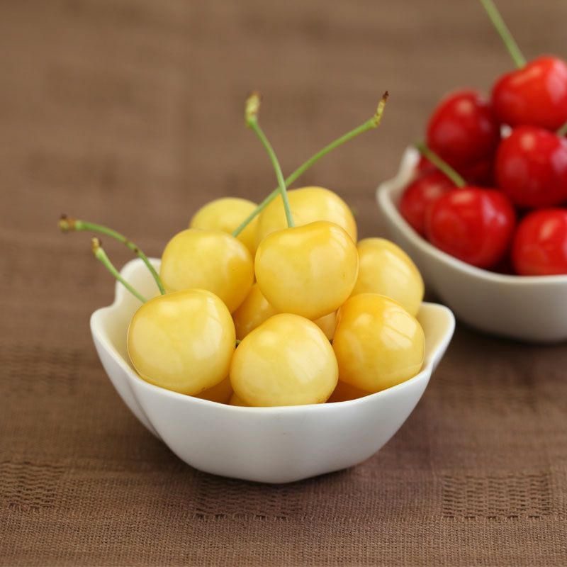 楽天市場】さくらんぼ 月山錦 2L ＆ 佐藤錦 秀選 L 各500gセット