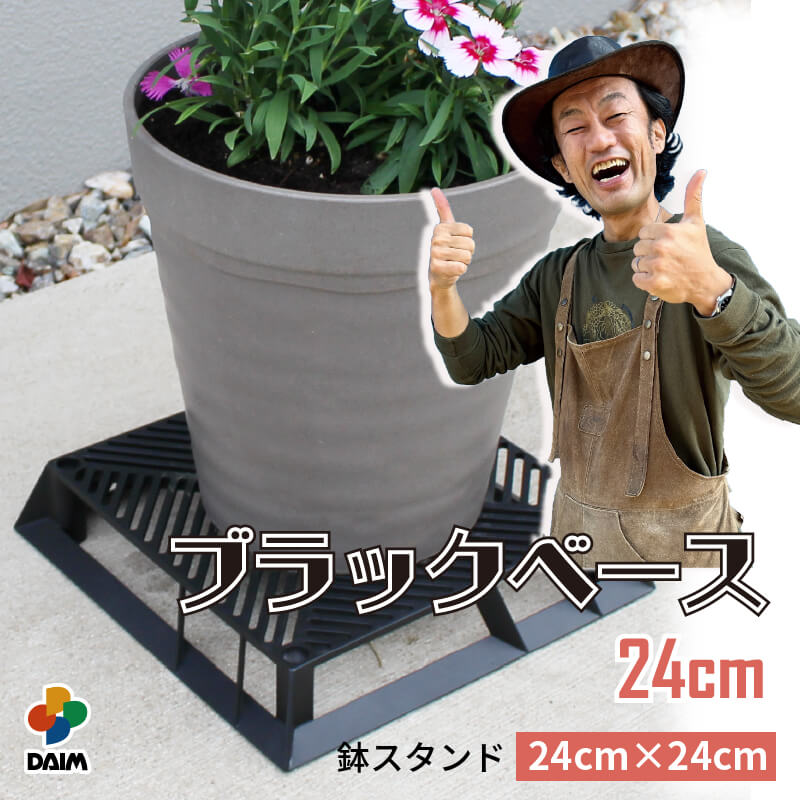 楽天市場】【クーポンで最大3,000円OFF】【カーメン君×daim コラボ