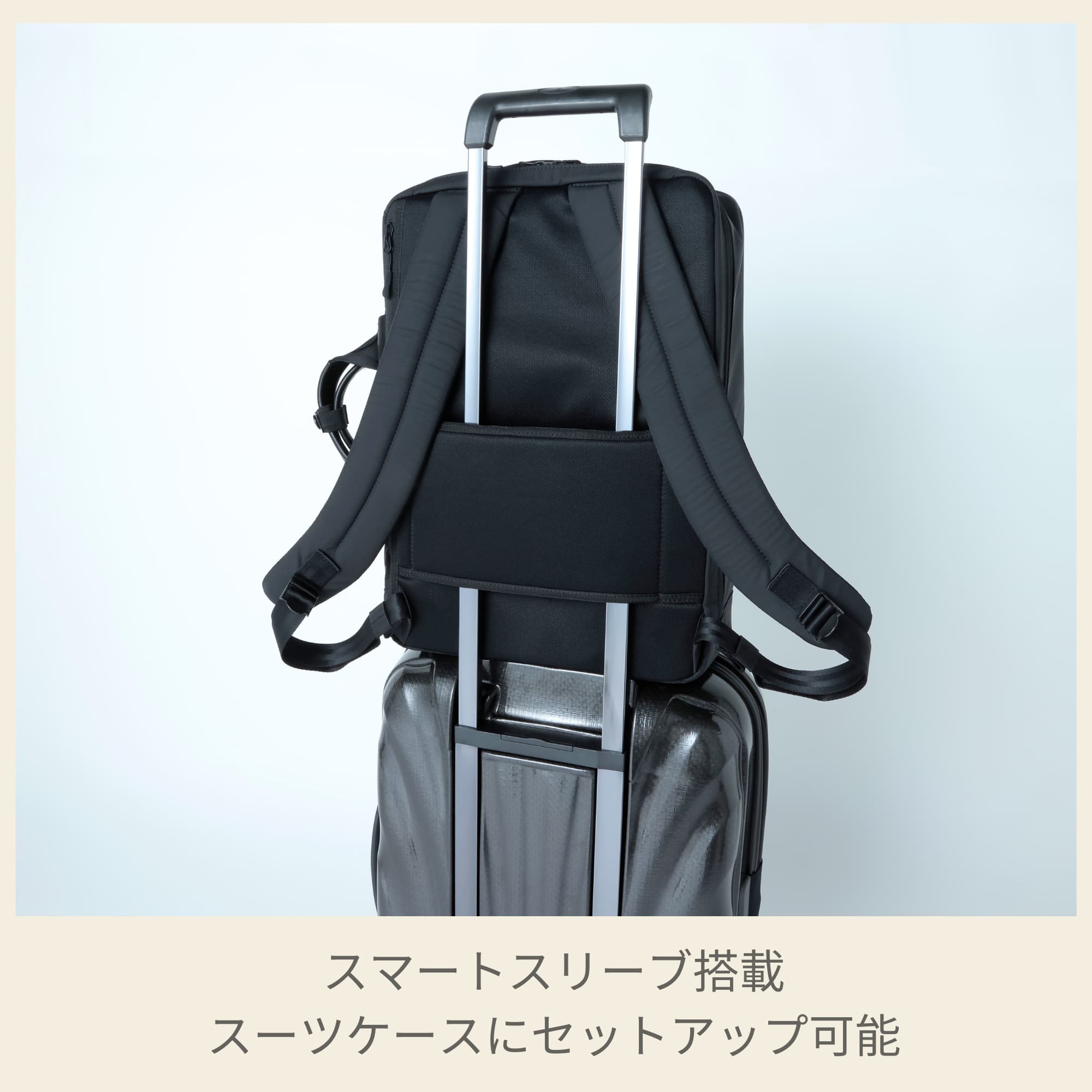 楽天市場】【24時間限定】対象P10倍☆1日0:00-23:59≪公式店