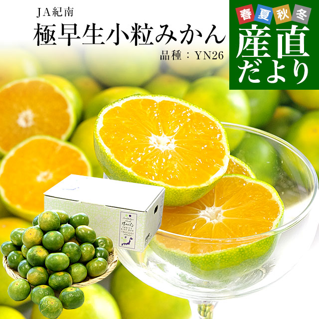 楽天市場】和歌山県 JA紀南 「紀南の極早生小粒みかん」品種：YN26 3S