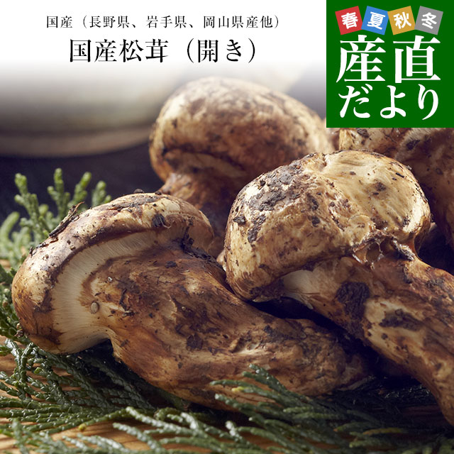 matsutake02_0.jpg
