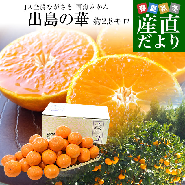 楽天市場】長崎県 JA全農ながさき 最高級みかん 出島の華 約2.8キロ S