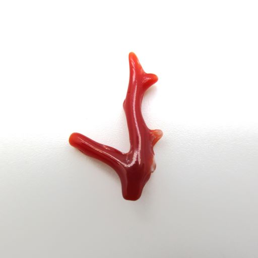 楽天市場】血赤珊瑚 土佐沖 枝 パーツ ルース 赤 素材 手作り