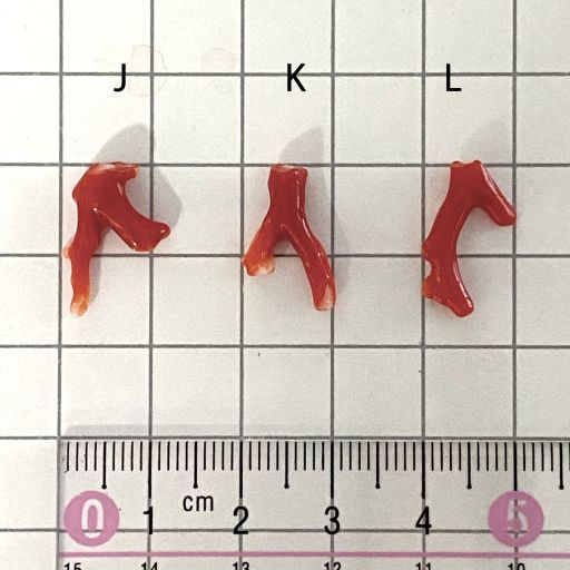 楽天市場】血赤珊瑚 土佐沖 枝 パーツ ルース 赤 素材 手作り