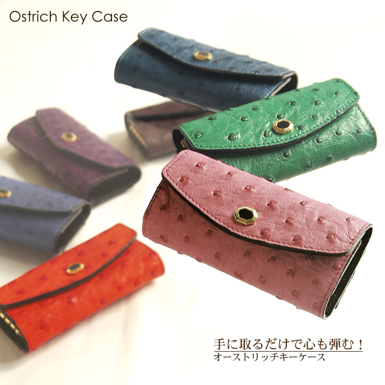 楽天市場】日本製 オーストリッチ 5連 キーケース/レディース/ゴールド