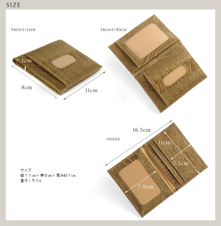 楽天市場】オーストリッチレッグ 定期入れ パスケース レディース女性