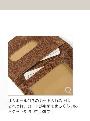 楽天市場】オーストリッチレッグ 定期入れ パスケース レディース女性